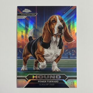 2020s Topps Chrome refractor &mdash; Hound